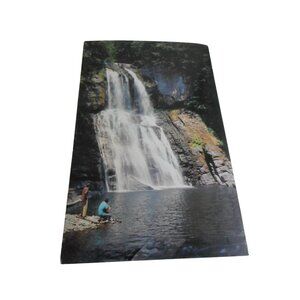 Vintage Postcard unposted Bushkill Falls, PA 1960s